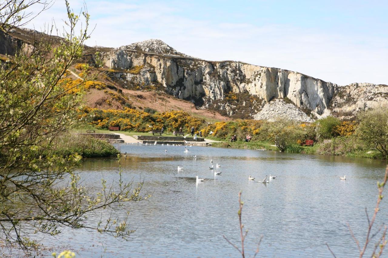 Vila Swn Y Nant Holyhead Exteriér fotografie